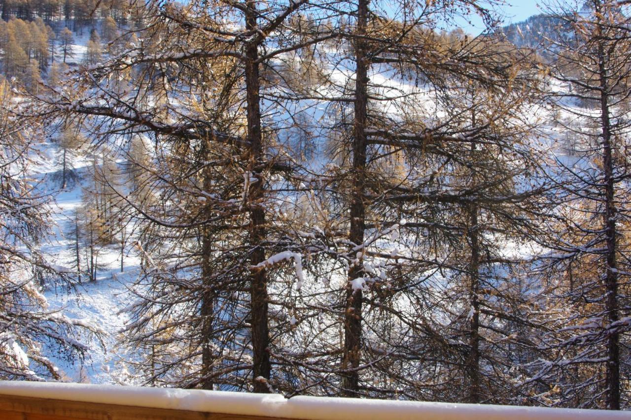 Spacieux Et Fonctionnel Dans Ecrin Des Neiges Apartment *